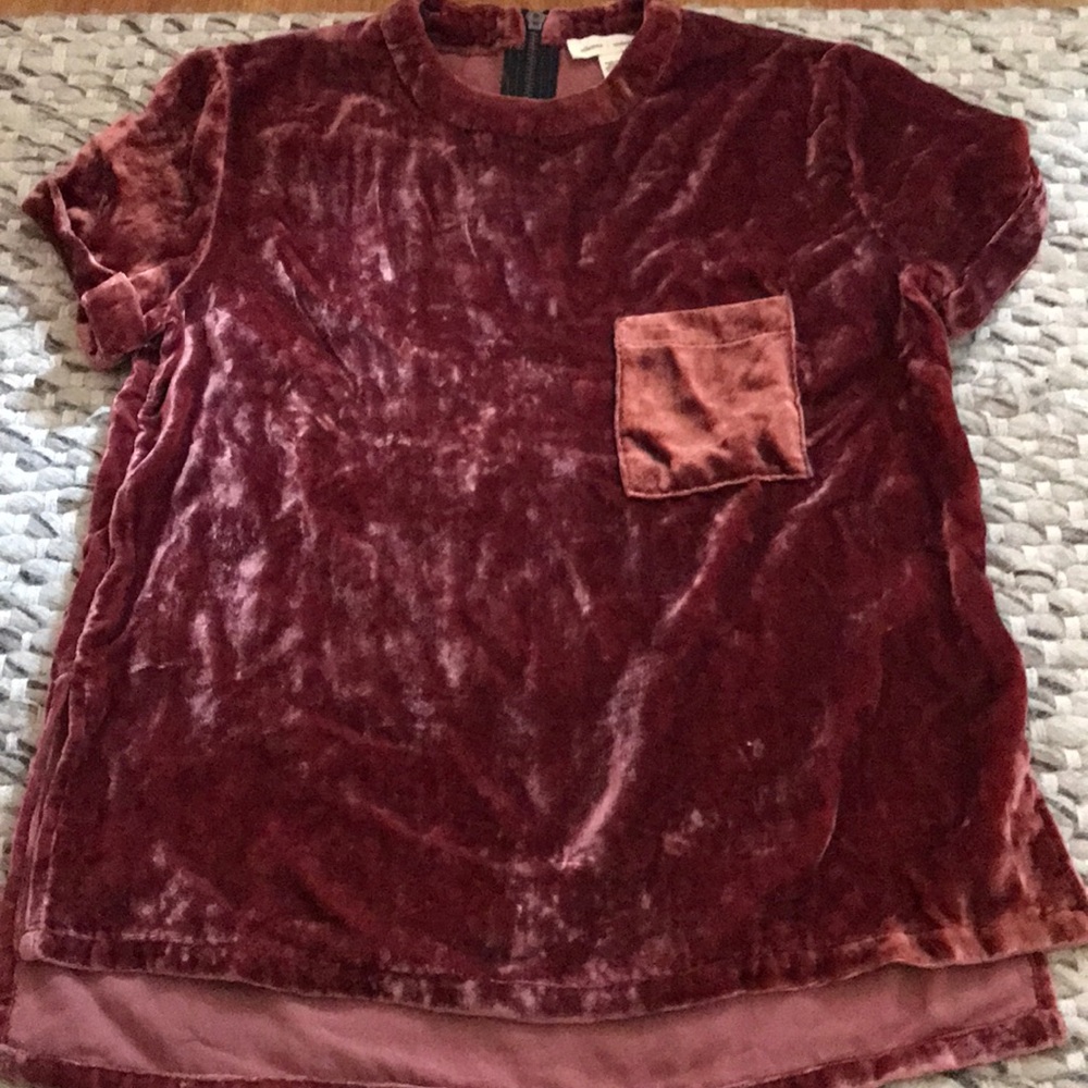 Urban Outfitters Velvet Tee